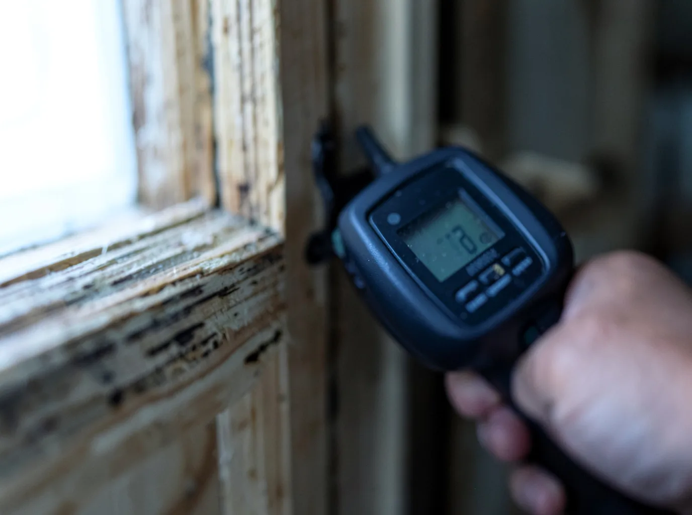 Moisture Inspection And Documentation in Pingree, ID